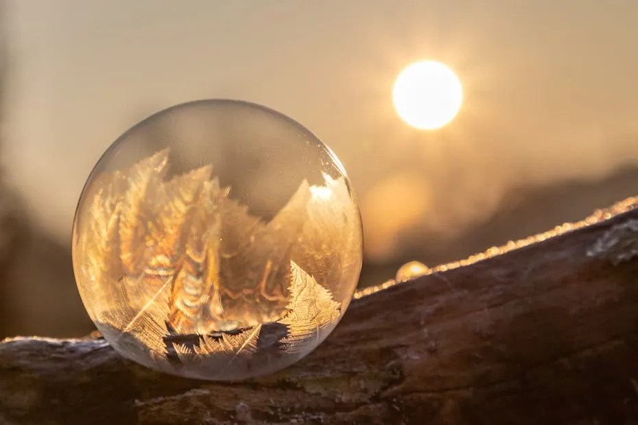 How to Do Ice Sculpting Beginability