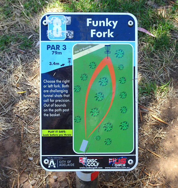 Disc Golf Rules for Beginners