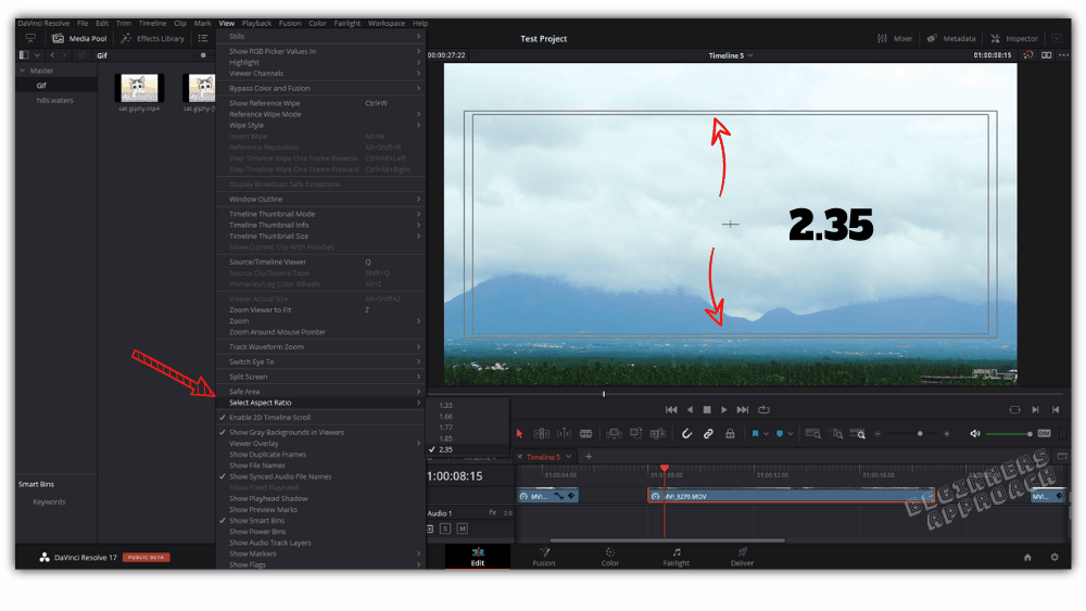 DaVinci Resolve Change Aspect Ratio (Vertical, Portrait,..)