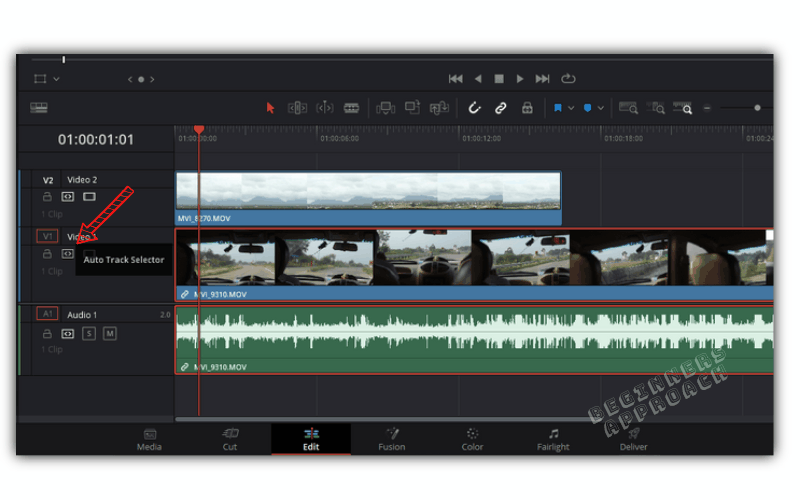 DaVinci Resolve Remove Audio From Video (FAST! 2024)