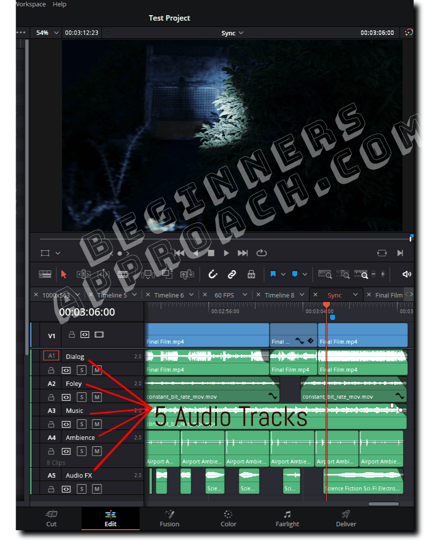 DaVinci Resolve Export Multiple Audio Tracks (Use THIS Setting)