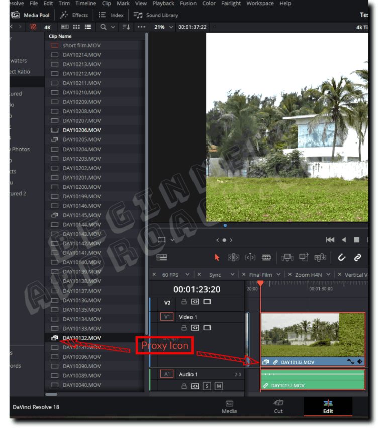 Blackmagic Proxy Generator DaVinci Resolve (2023 Tips!)