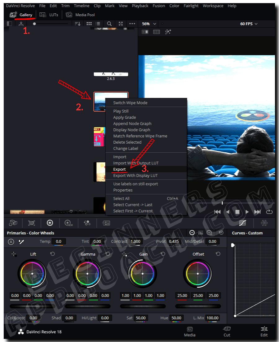 How to Export Frame in DaVinci Resolve (Still Image) 2024