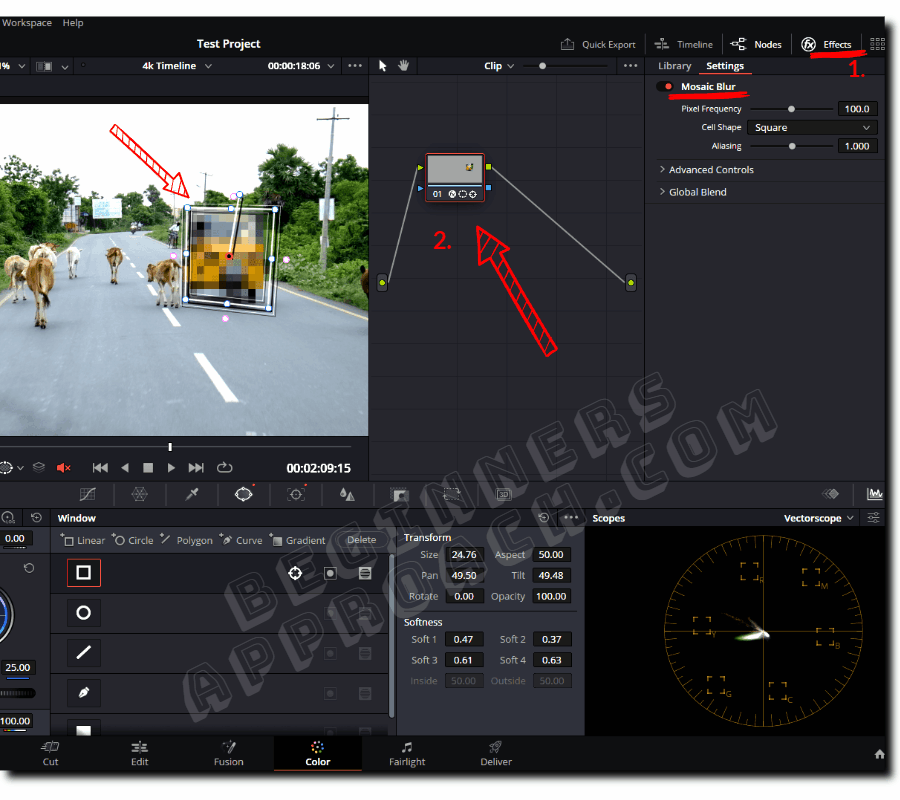 DaVinci Resolve Blur Part Of Video (3 Quick Steps 2024!)