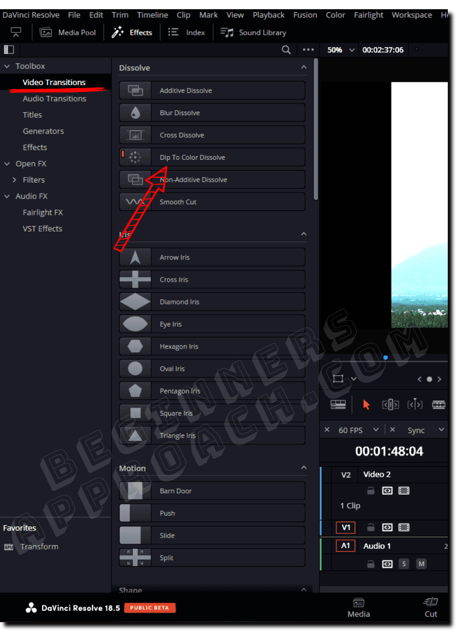 DaVinci Resolve Fade To Black (Under 30 Seconds! 2024)
