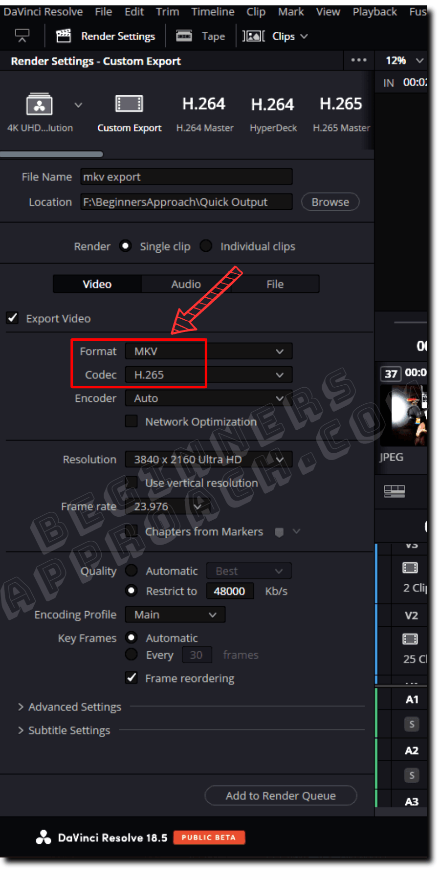 DaVinci Resolve Export MKV (+ BEST Render Settings 2024)