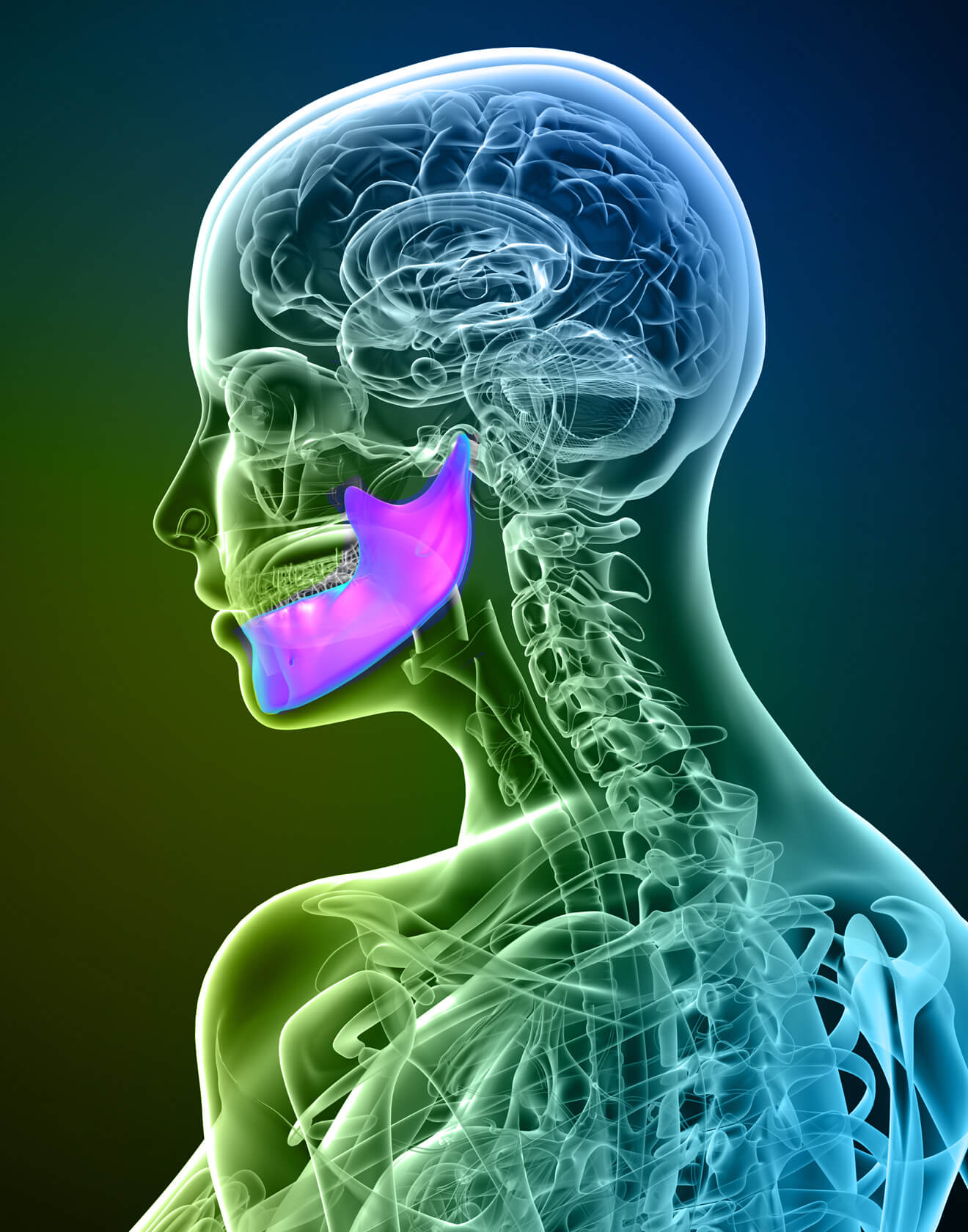 TMJ Chiropractic Adjustment Begin Within