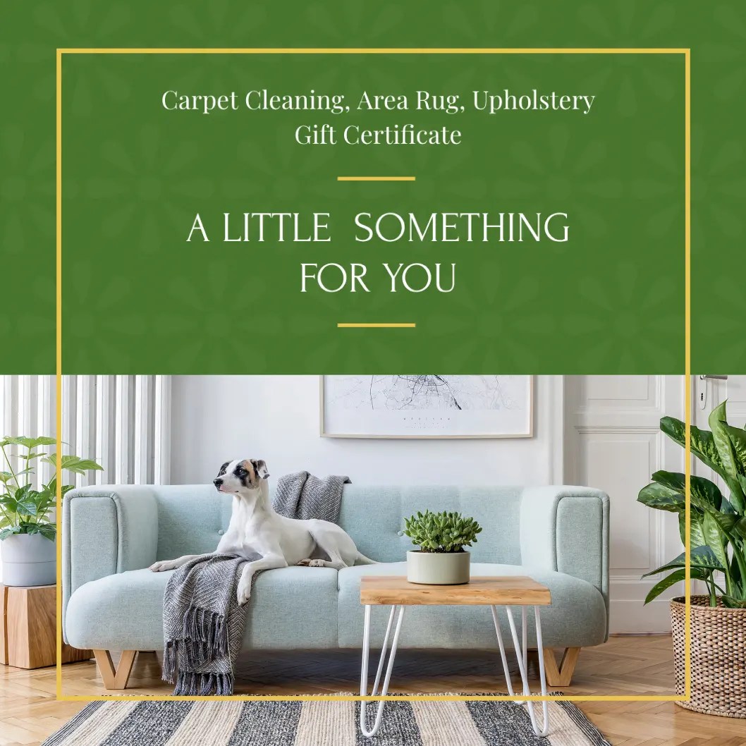 Carpet Cleaning Gift Cards