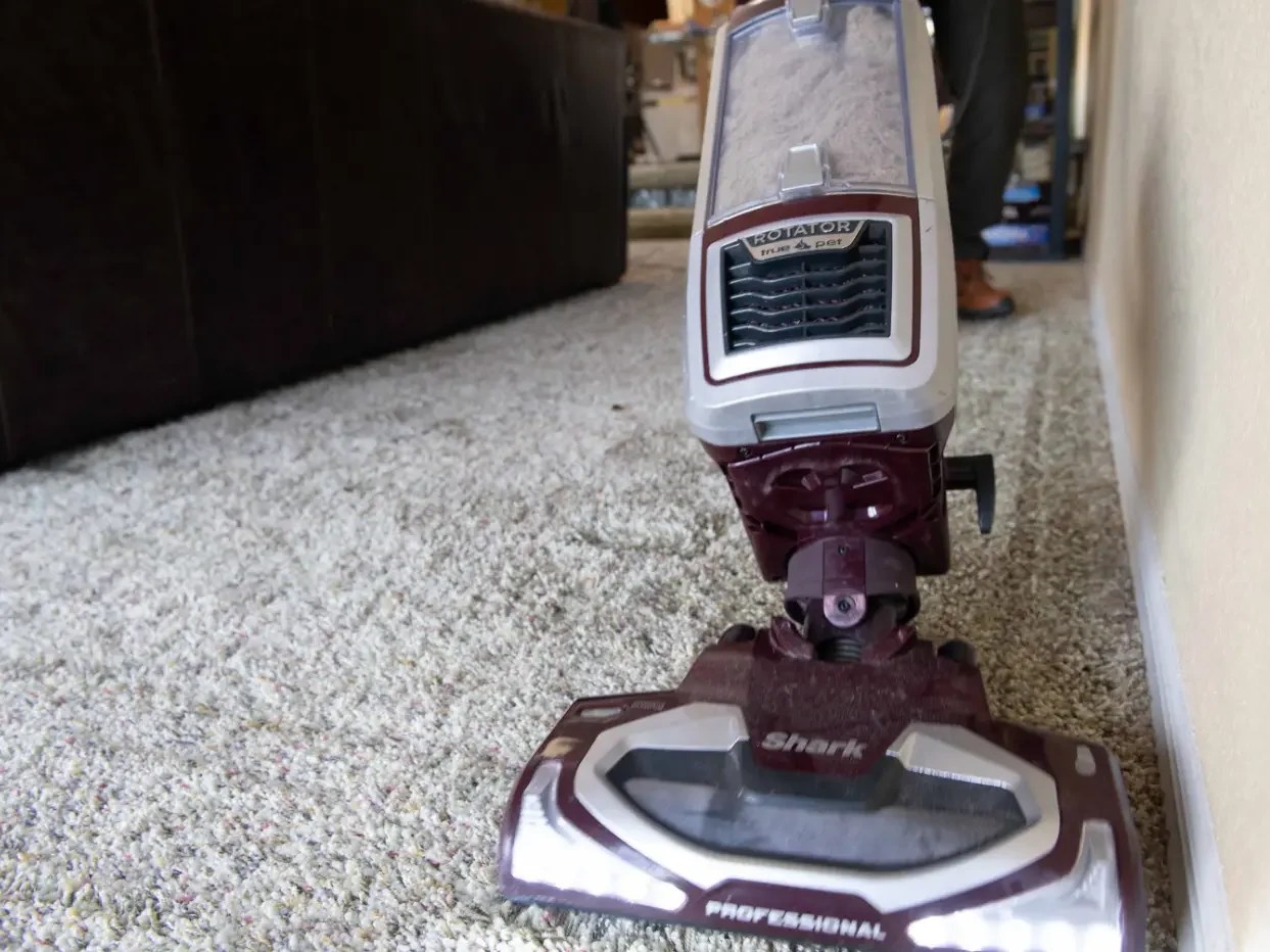 Should You Vacuum Before Professional Carpet Cleaning? Be Green