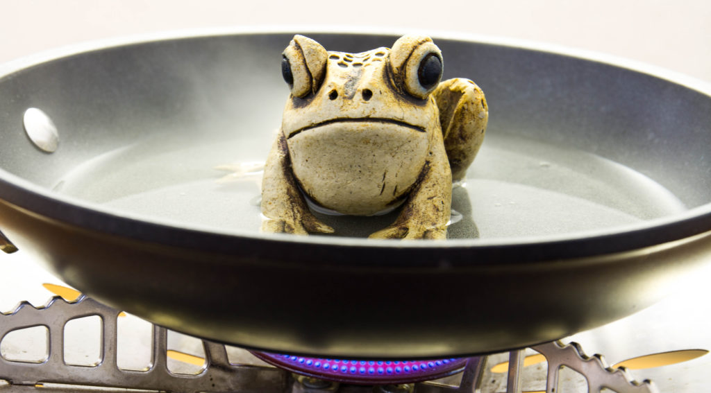 Uncertainty Changes Behaviour (But Boiling Frogs Doesn’t