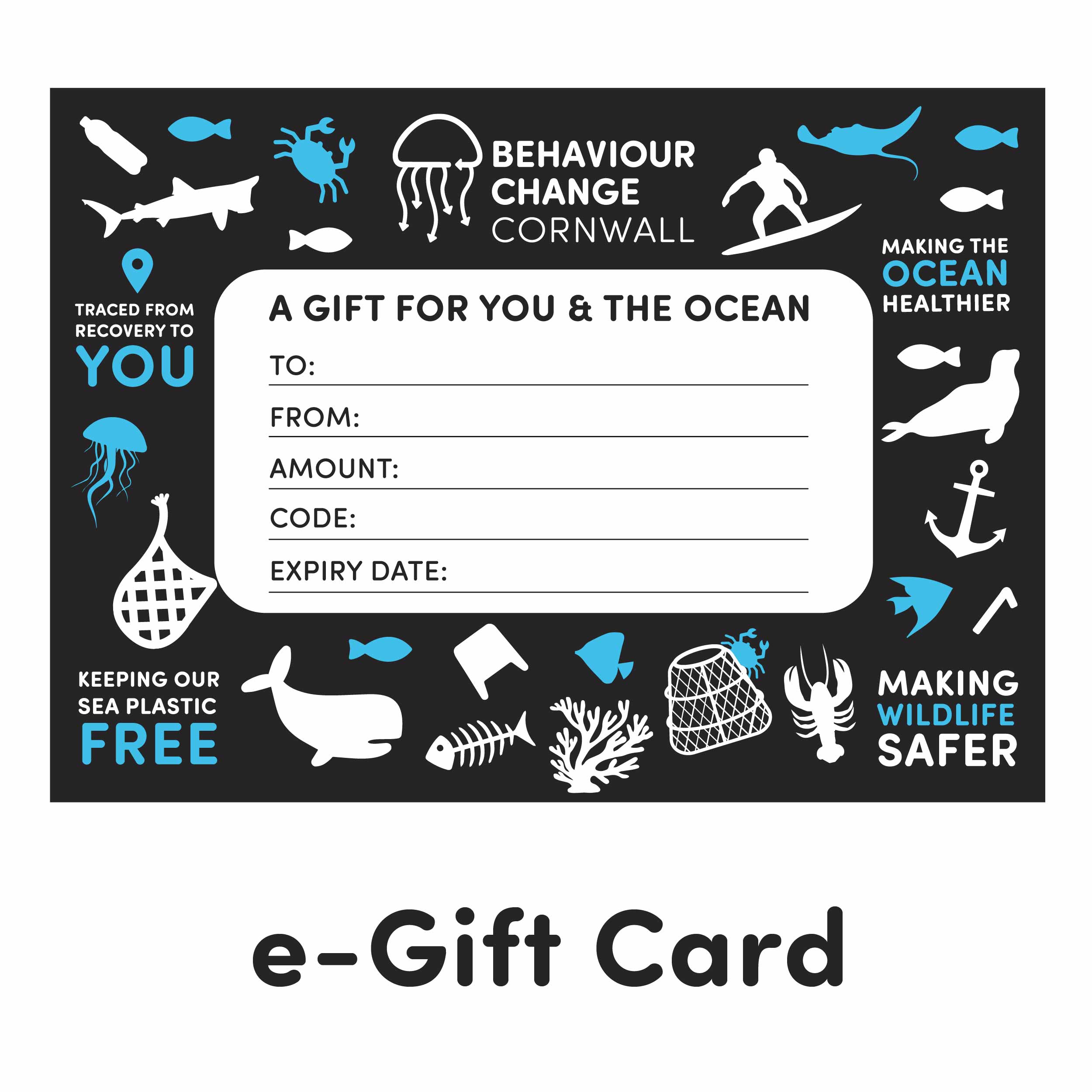 eGift Card Behaviour Change Cornwall