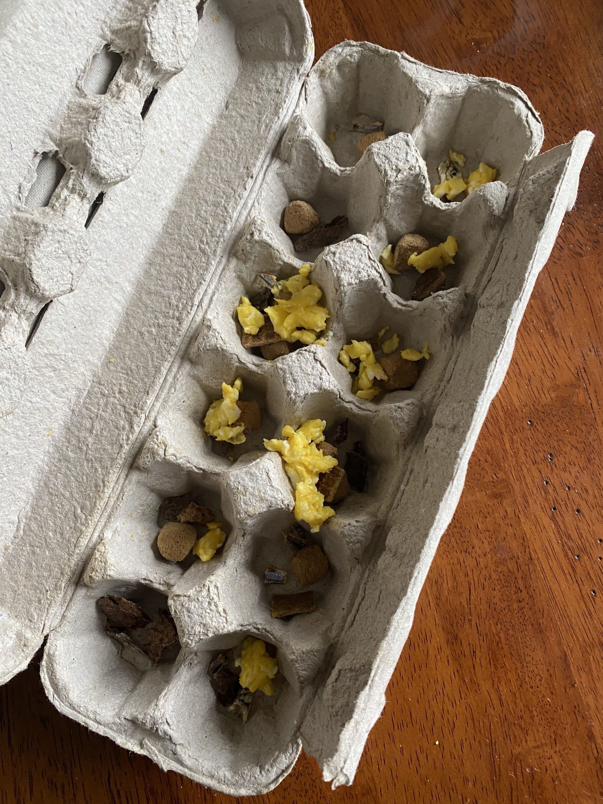 Household Enrichment Egg Cartons • Behaviours In Training