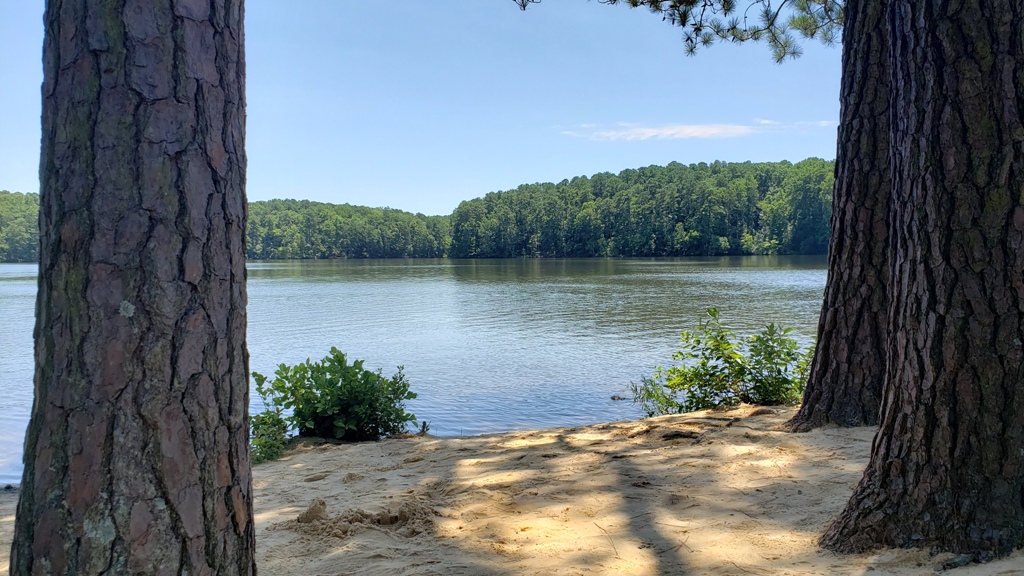 Lake Johnson NC 7/11/2020