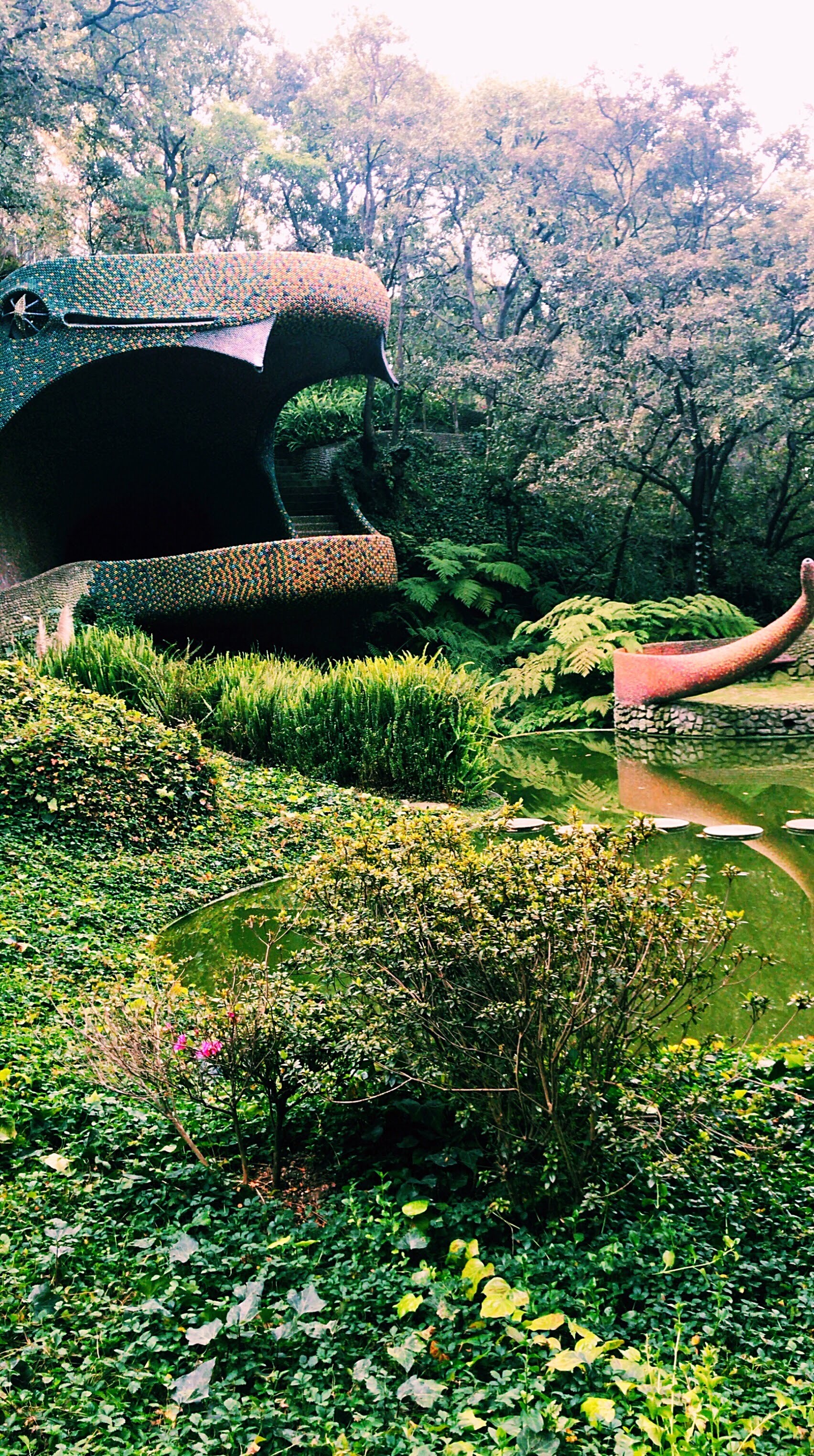 Review El Nido de Quetzalcoatl Airbnb Behind the CarryOn