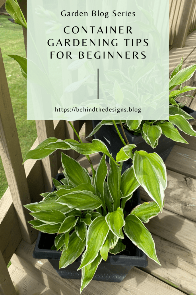Vegetable Container Gardening Tips for Beginners Behind the Designs