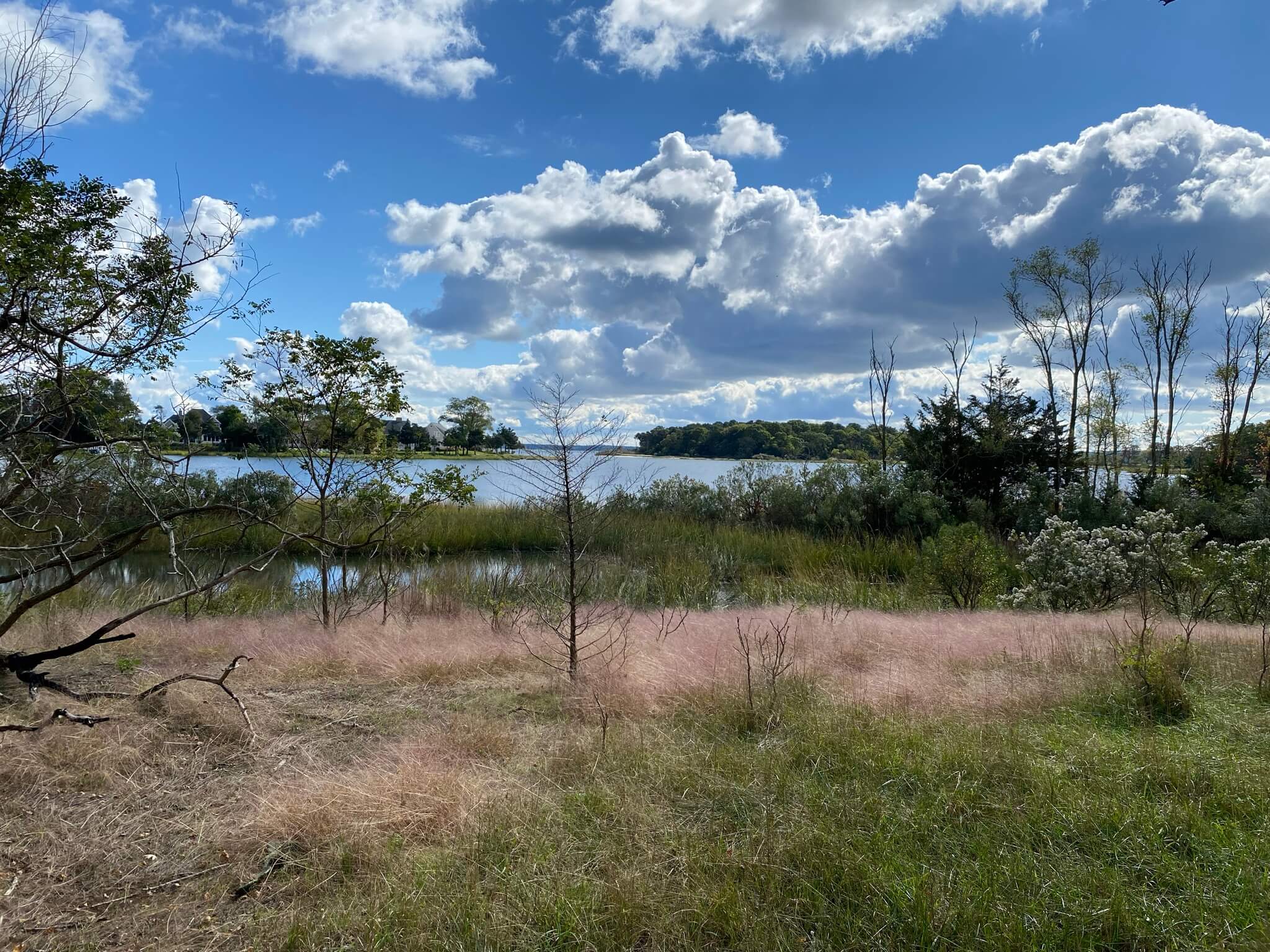100 Acres on Broad Cove Saved From Development