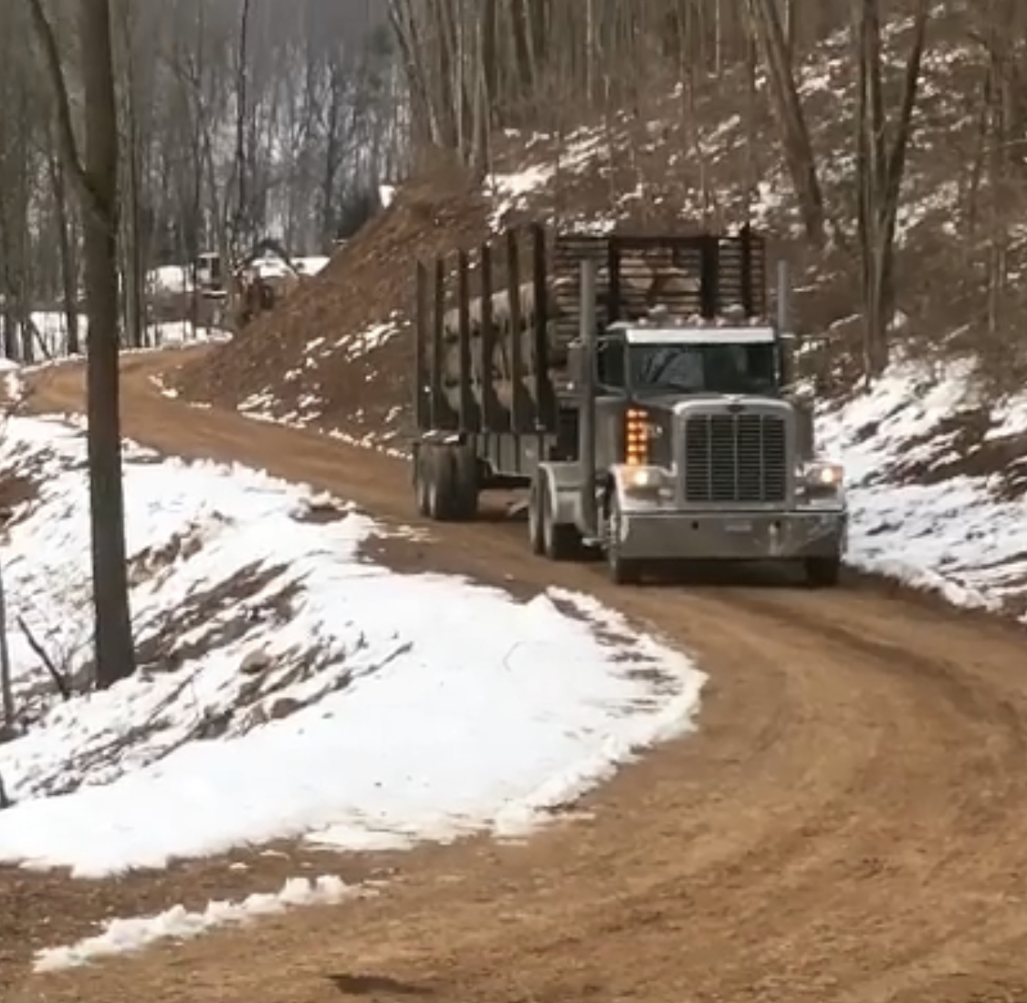 We Buy Standing Timber & Logs Sell Us Your Trees Today