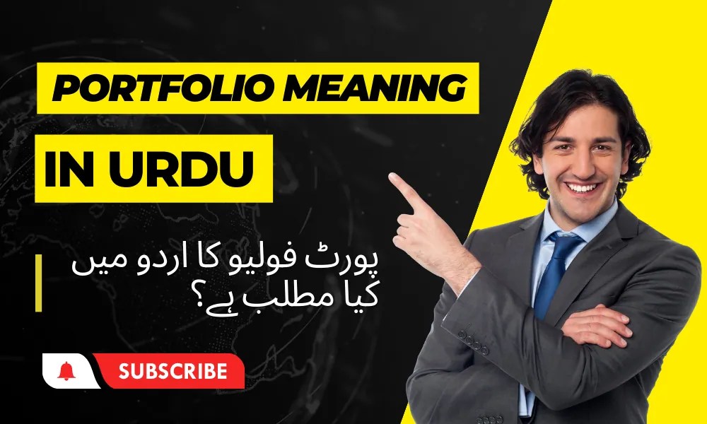 Portfolio Meaning in Urdu with Definition چمڑے کا بیگ