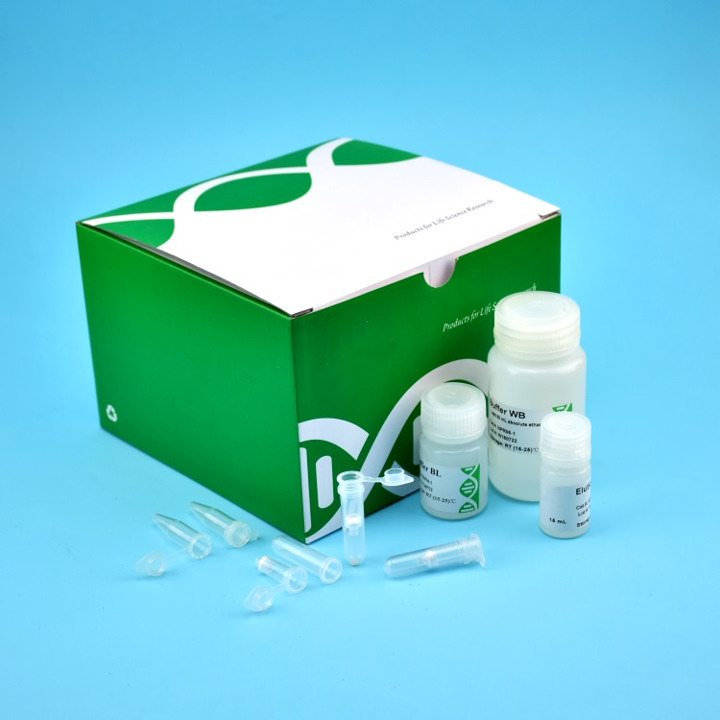 Gel DNA Purification Kits BeingBio