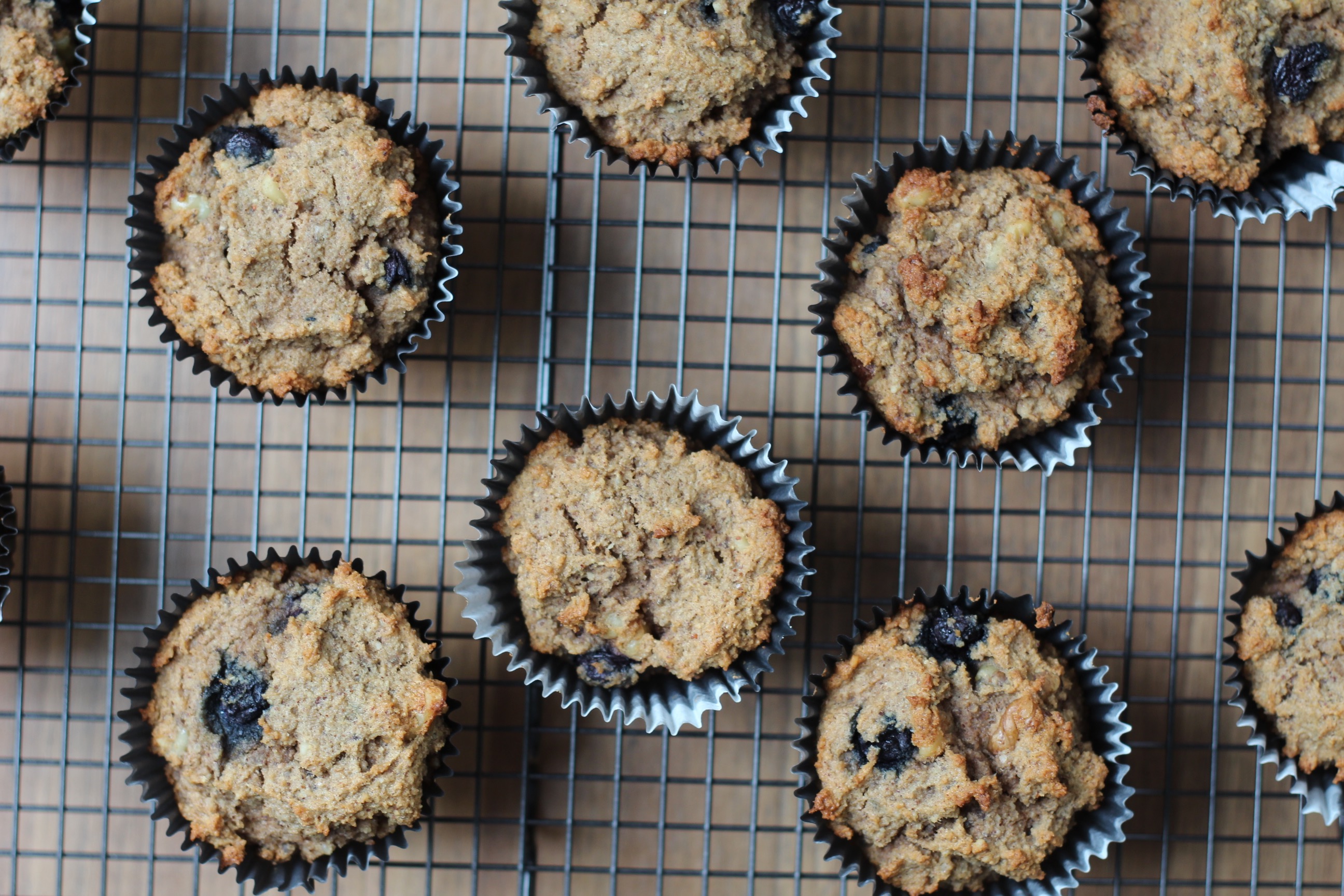 Blueberry Walnut Paleo Muffins BeingBrigid