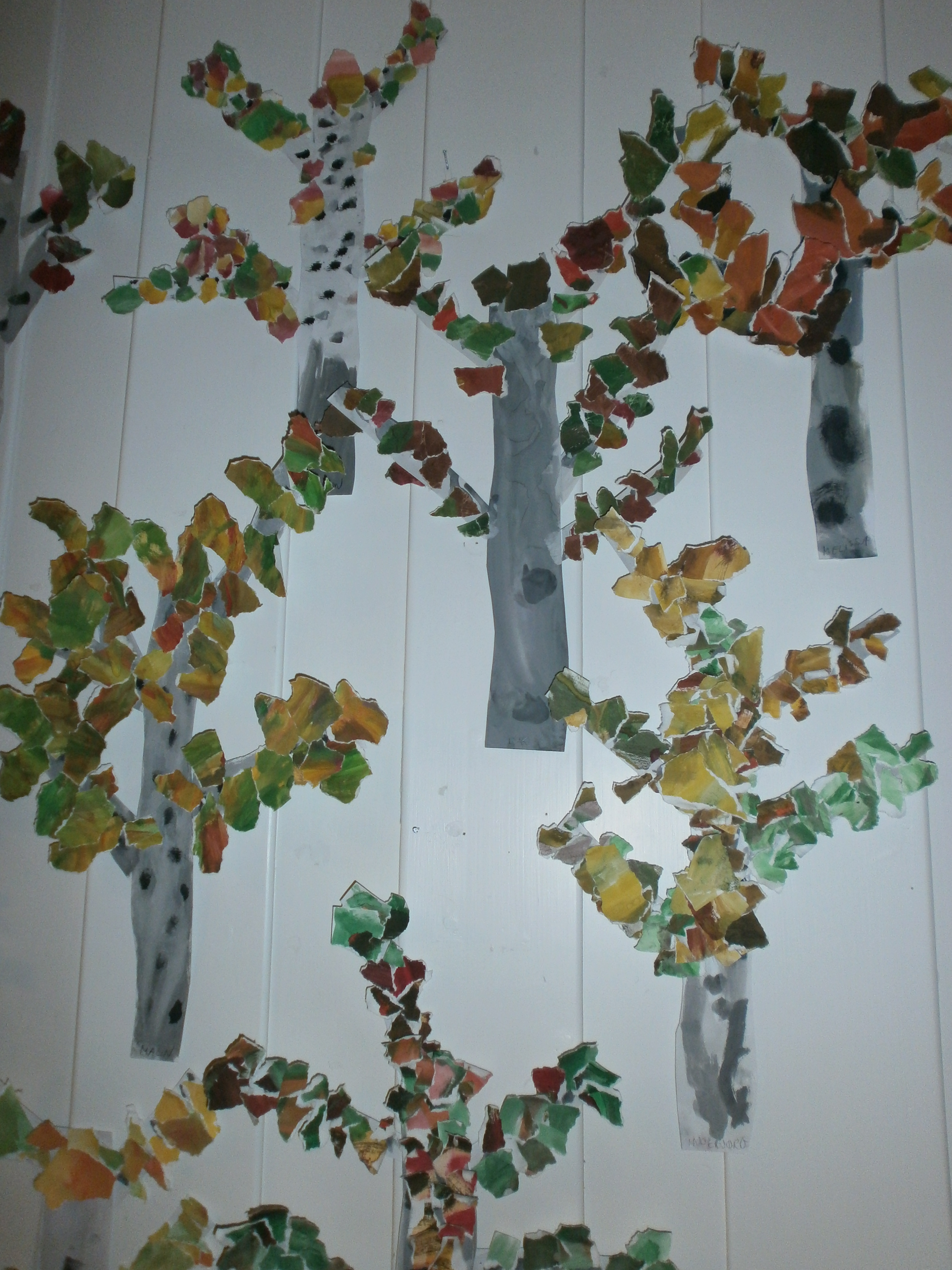 Natur Kunst Og Handverk I Mitt Hjerte
