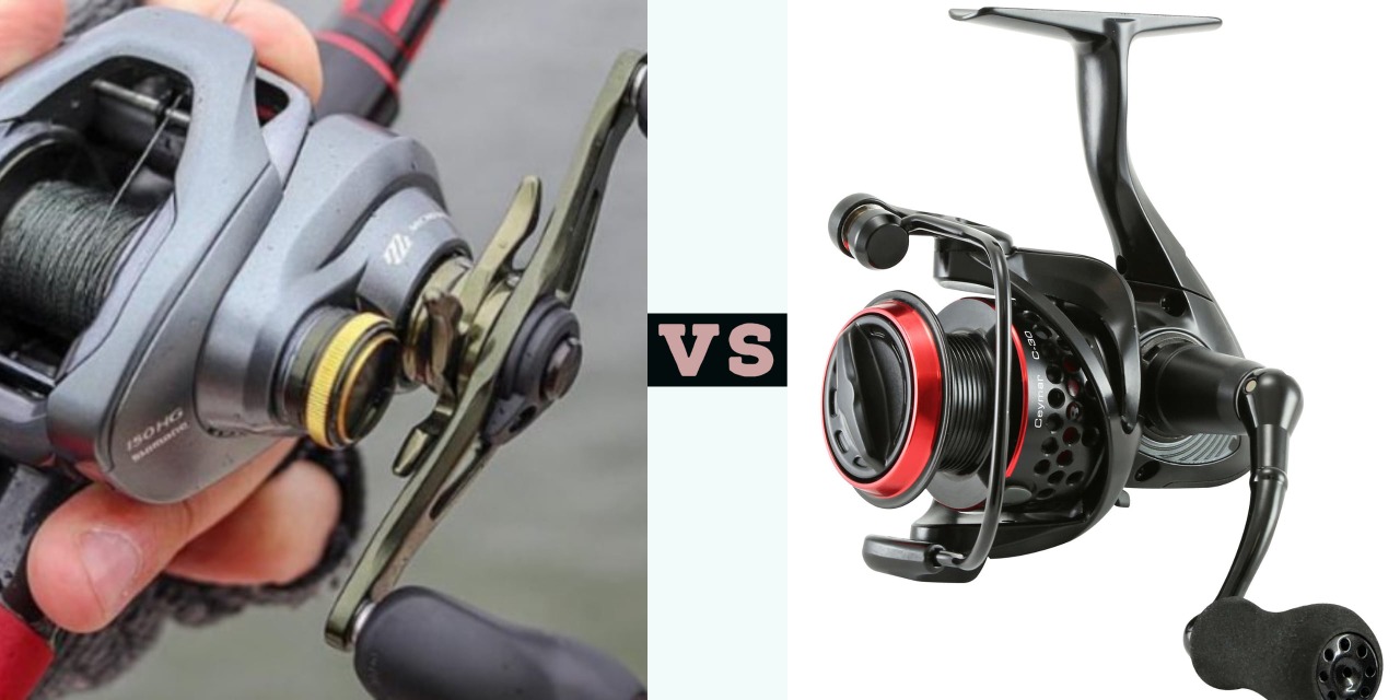 Baitcaster vs Spinning Reel What’s Best to Choose in 2024
