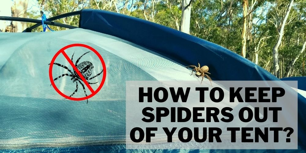 How to Keep Spiders Out of Your Tent? (13+1 Easy Tips Included)