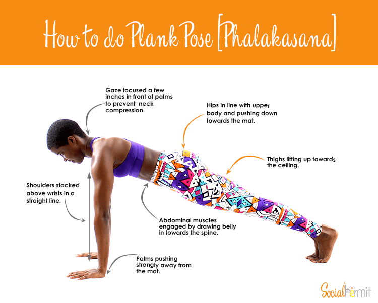Plank Muscles Worked Diagram