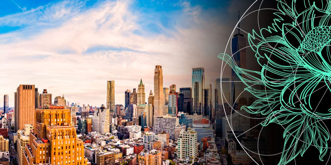 Largest Insurance Companies in World in 2024 by Assets