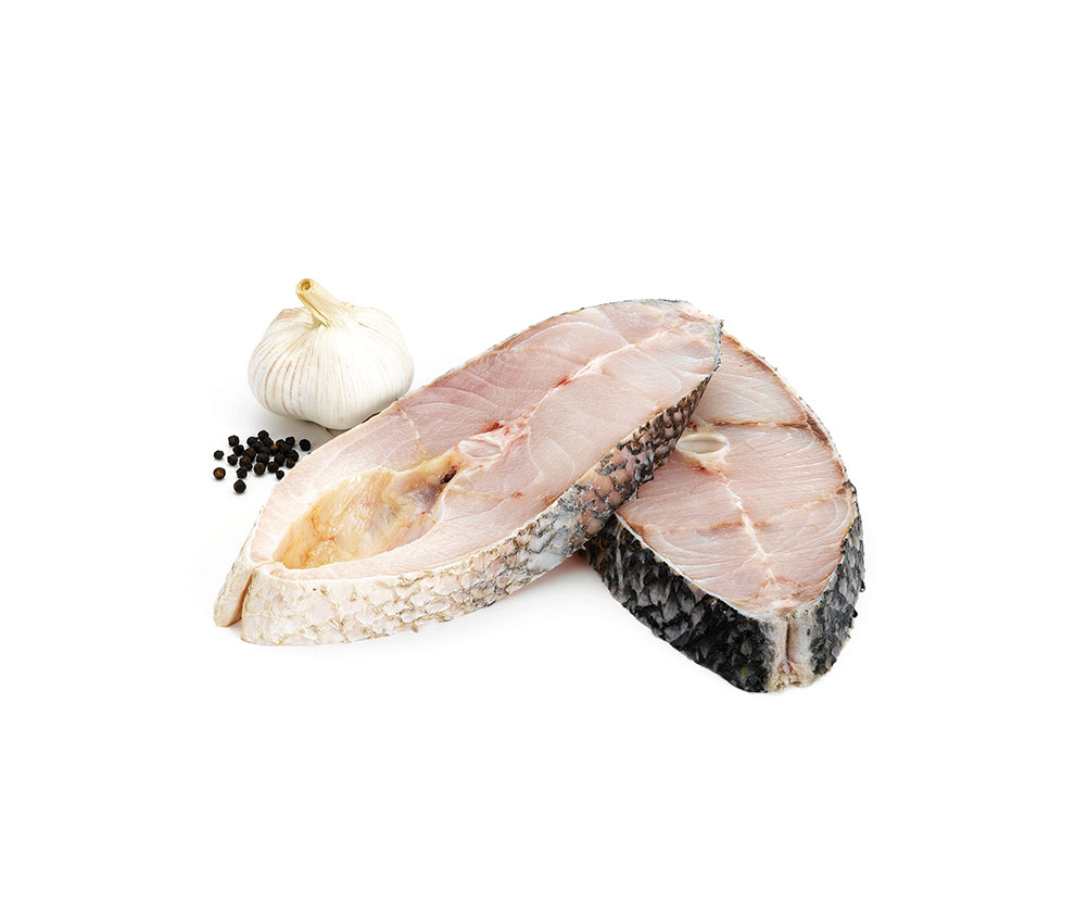 Perca do Nilo Beira Nova