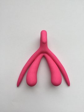 Seksuele Beleving Van De Vrouw En De Clitoris Steeds Meer In De Belangstelling! » Bekken En Bekkenbodem Zorgcentrum
