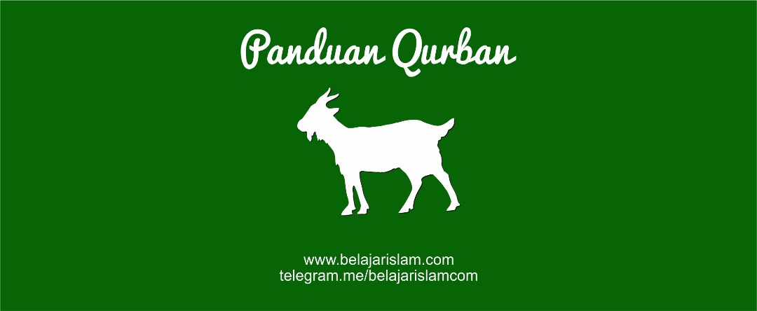 Hukum Kurban Kerbau – Belajar Islam