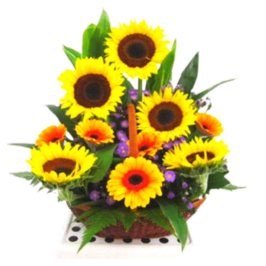 Flowers basket »
