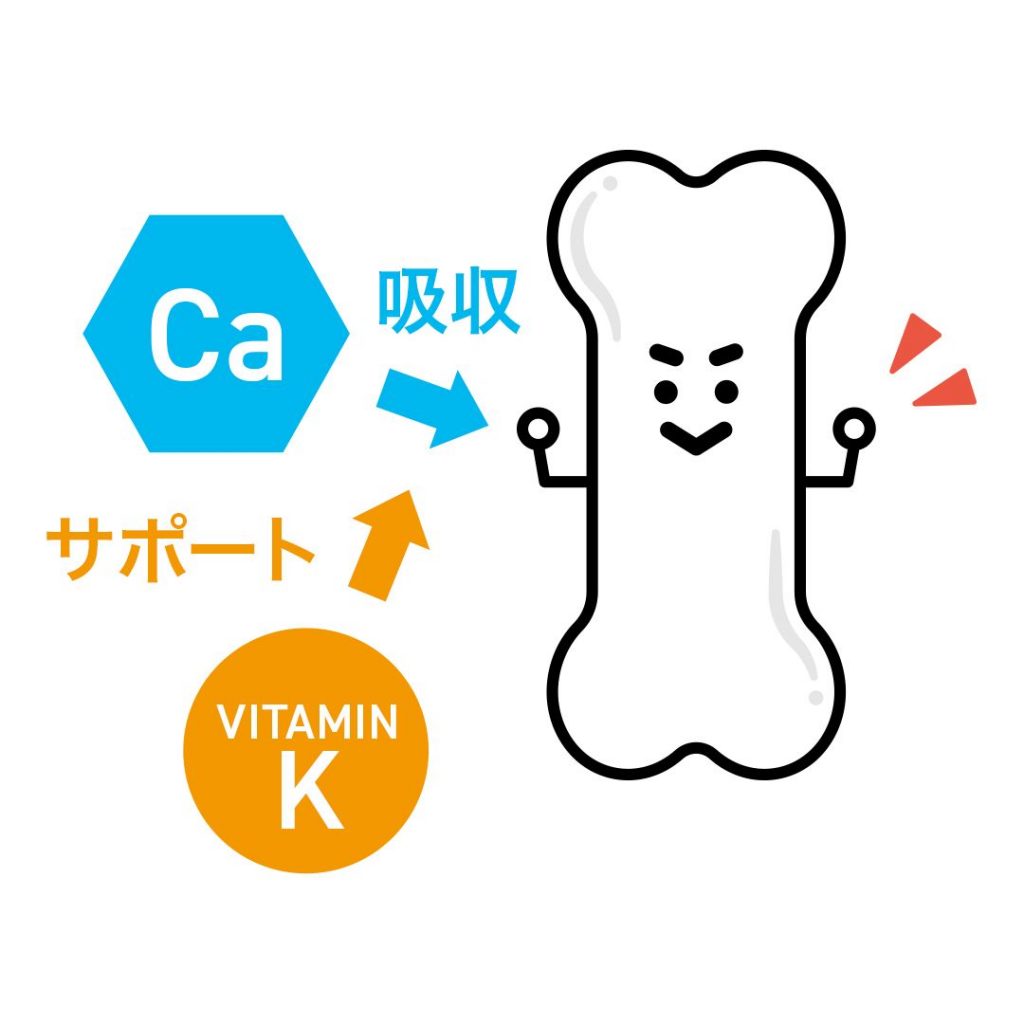 健康的にダイエットするために取り入れたいビタミンKの効果とは 【公式】beLEGEND ビーレジェンドプロテイン
