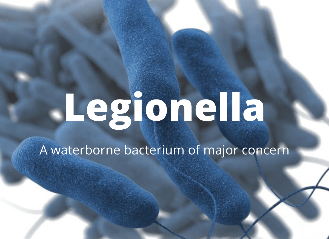 "Understanding Legionnaires' Disease Causes, Symptoms and Prevention