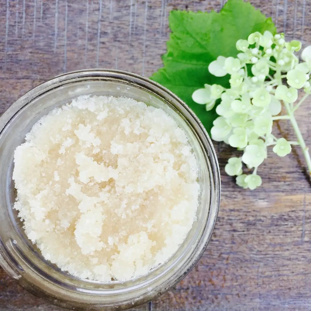 Sugar Scrub Believe in the Basics