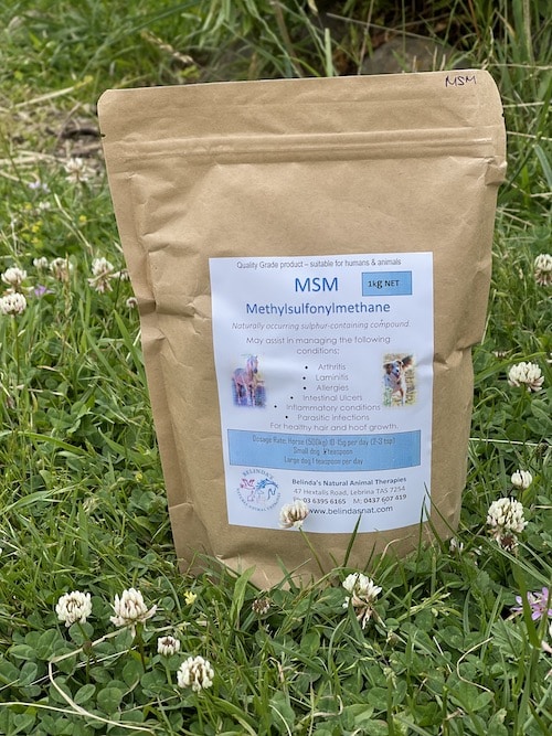MSM 1kg Methylsulfonylmethane Belindas Natural Animal Therapies
