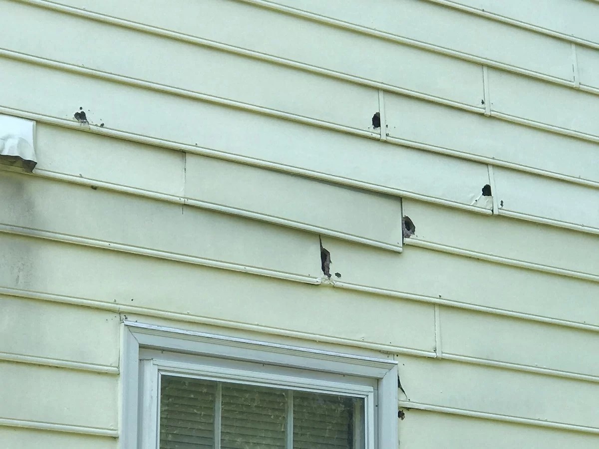 Charlotte HardiePlank Siding Is Resistant to Insect Damage