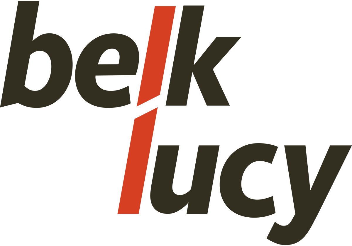 Belk Lucy Commercial Real Estate in Charleston, SC