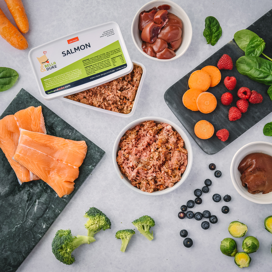 Salmon Raw Dog Food Complete Premium ⋆ Bella & Duke
