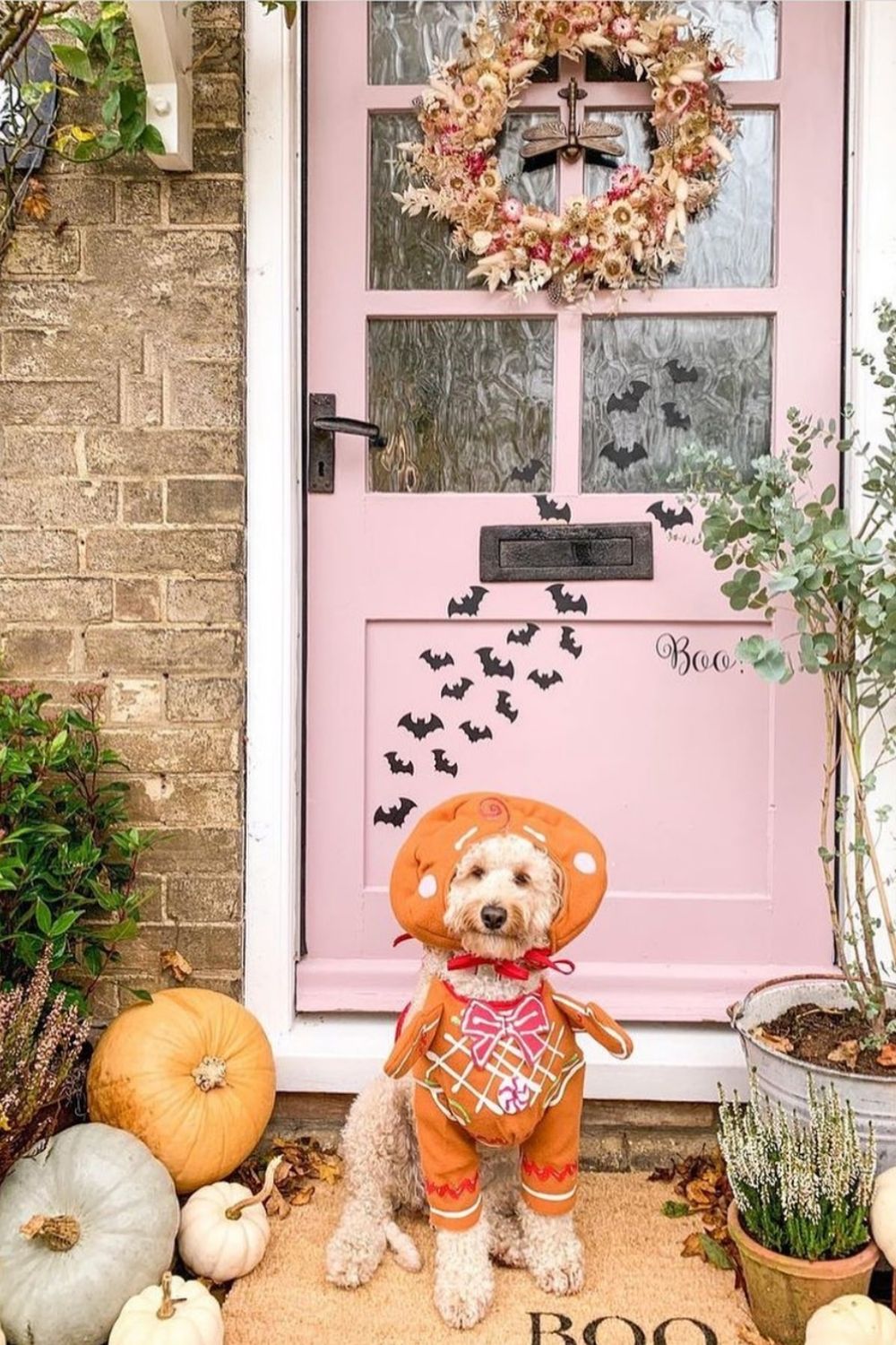 48 Creative Outside Halloween porch decoration ideas 2021 Page 3 of 6
