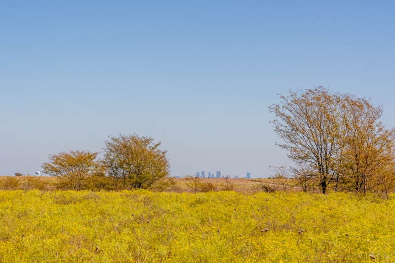 Bella Crossing Land for sale near Aledo, TX