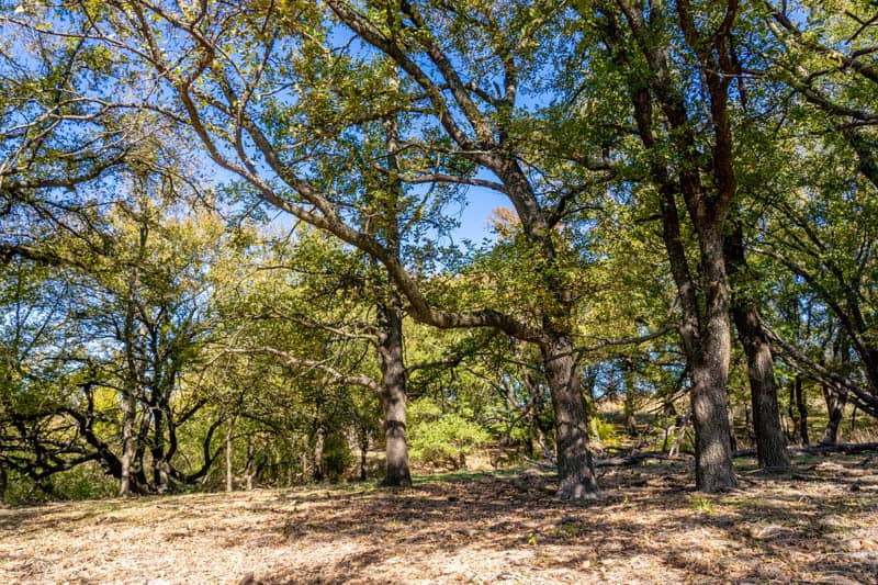 Bella Crossing Land for sale near Aledo, TX