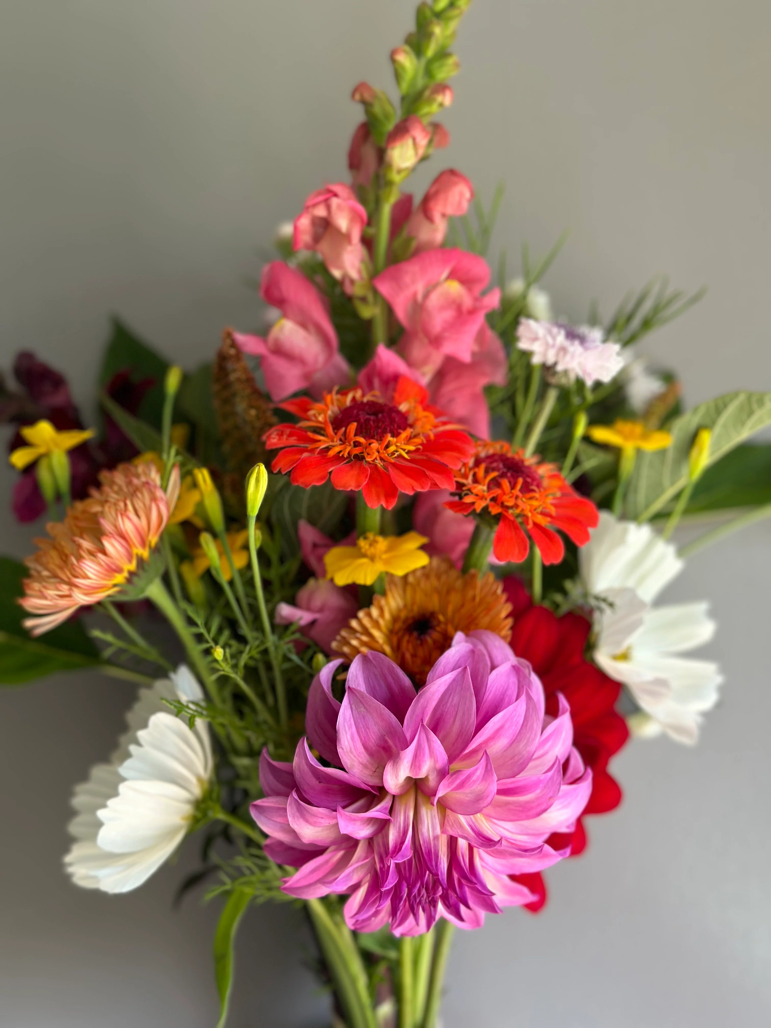 Fresh Cut Flower Bouquet in Issaquah (Farm Stand Pick Up) Bellagios