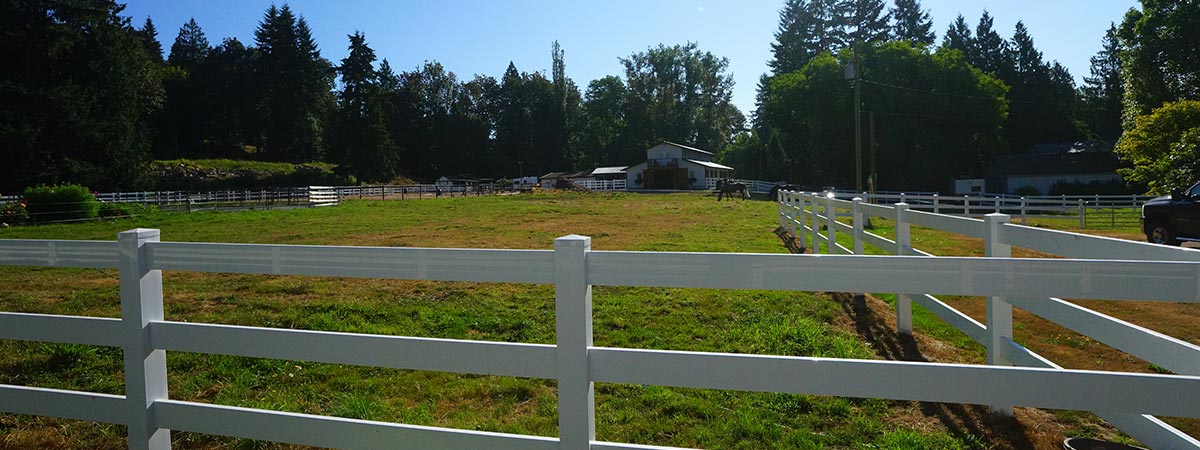 Bellamy Brook Stables pasture and quality fencing