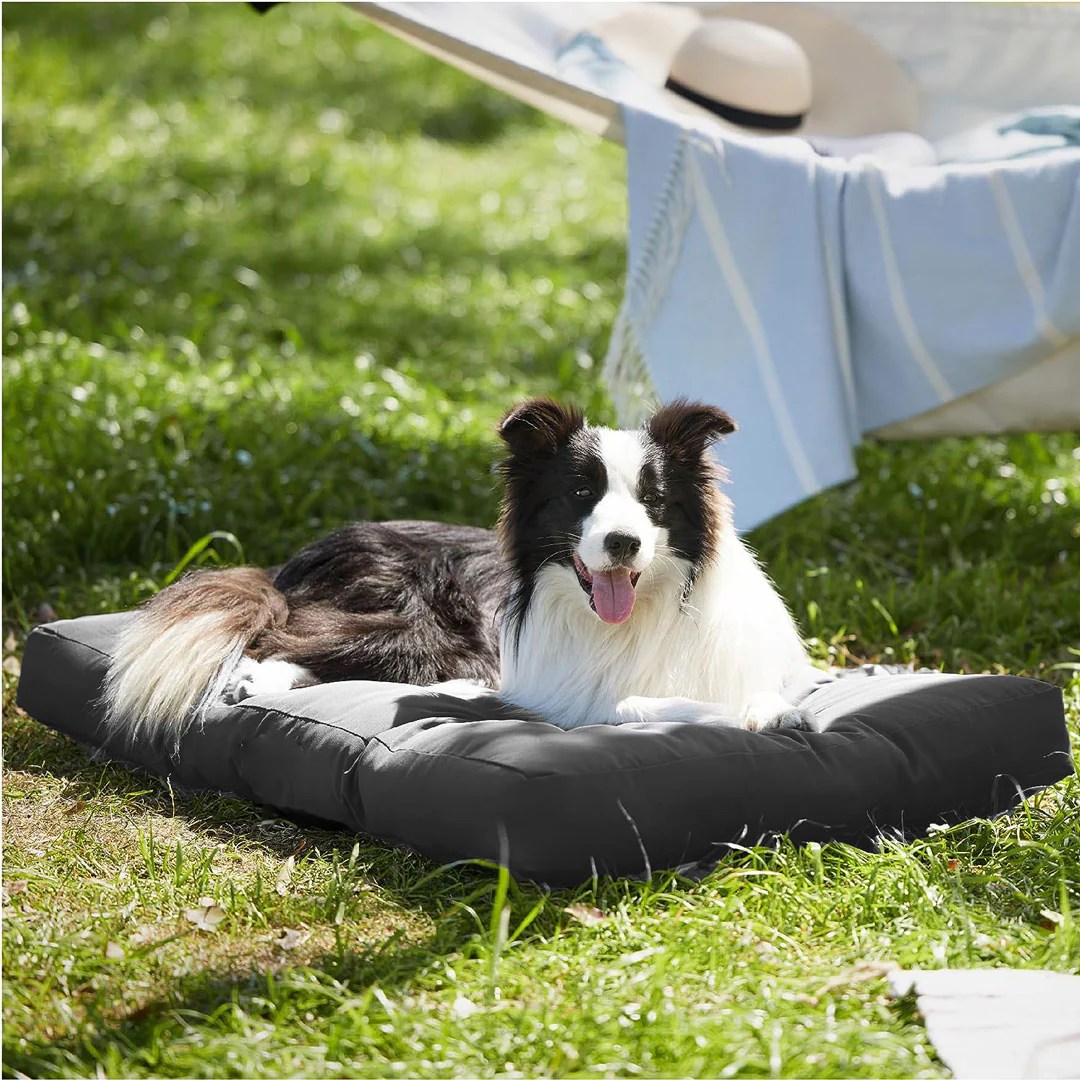 Premium Dog Mat from Bella&Toby™ Your Pet Deserves a Comfy Mat
