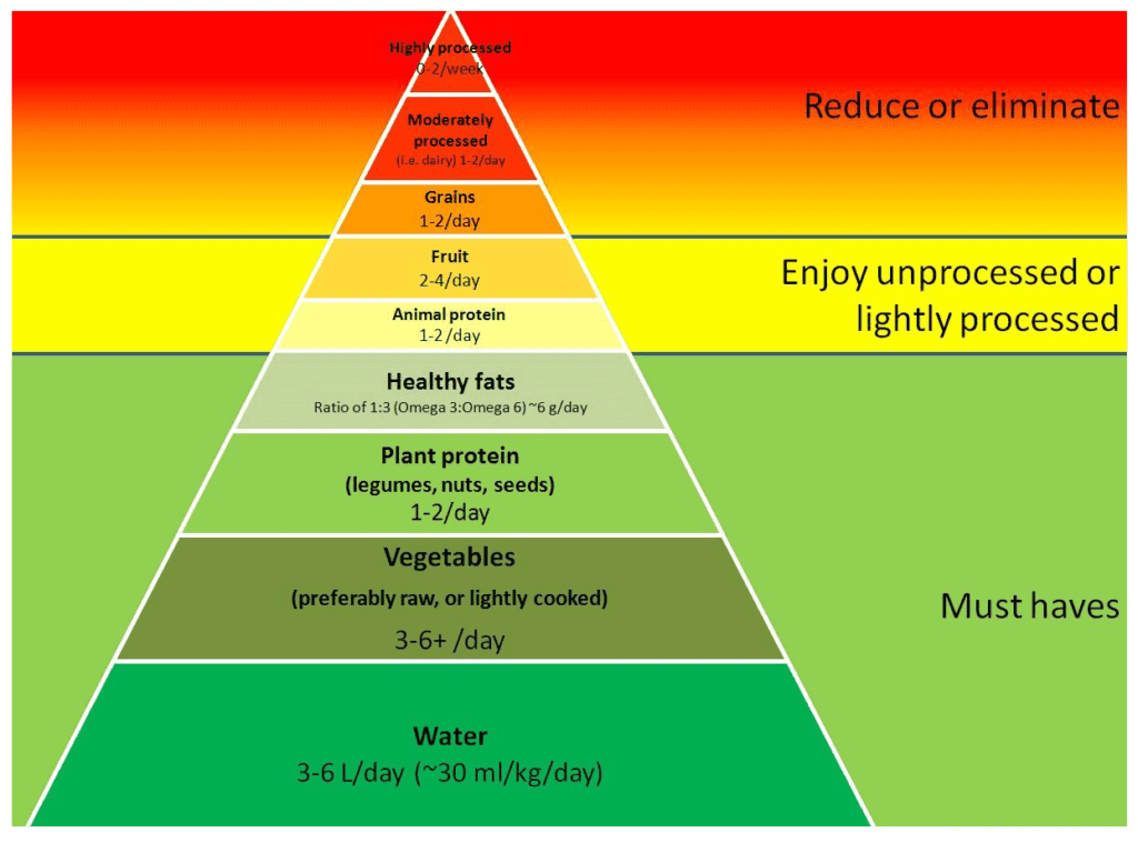 Thermic Effects of Food BELLAtrix Fitness & Nutrition