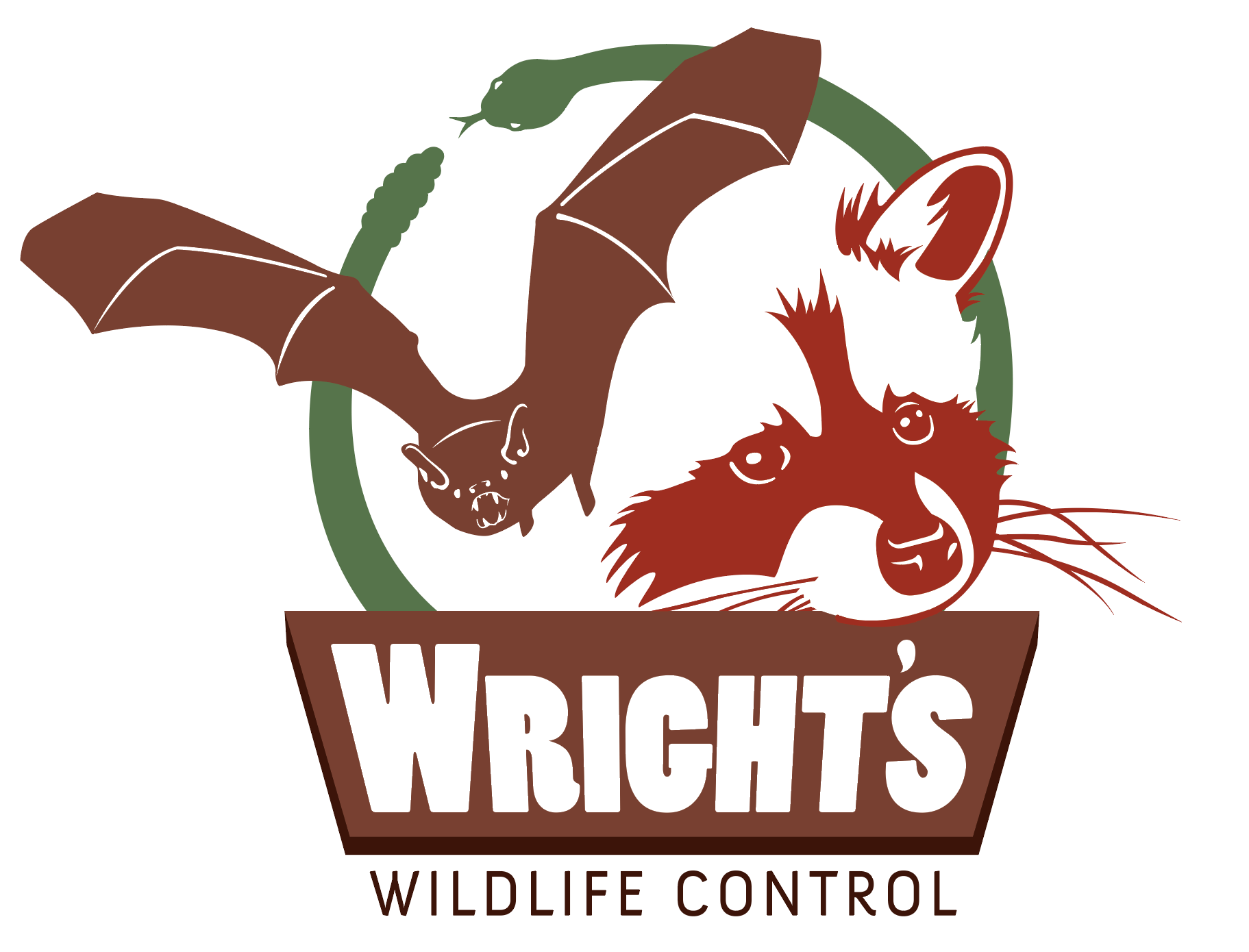 Bell County Wildlife Removal Bell County Wildlife Control Removal of Animals, Squirrels