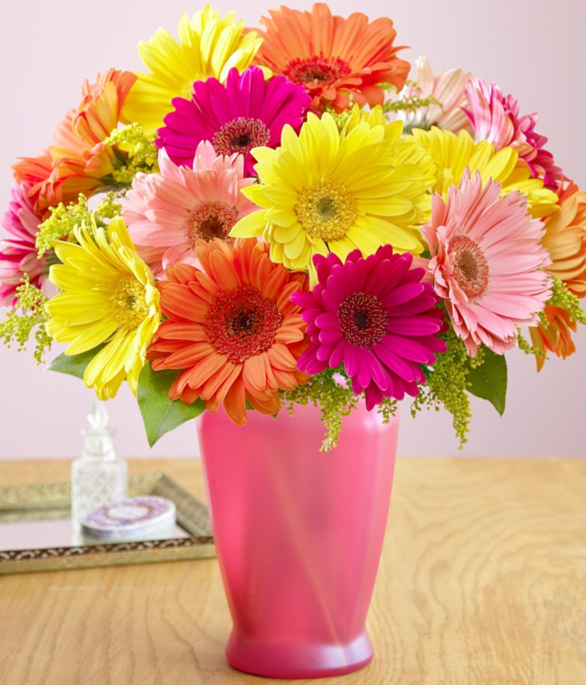 List 32+ Background Images how to arrange gerbera daisies in a vase Latest