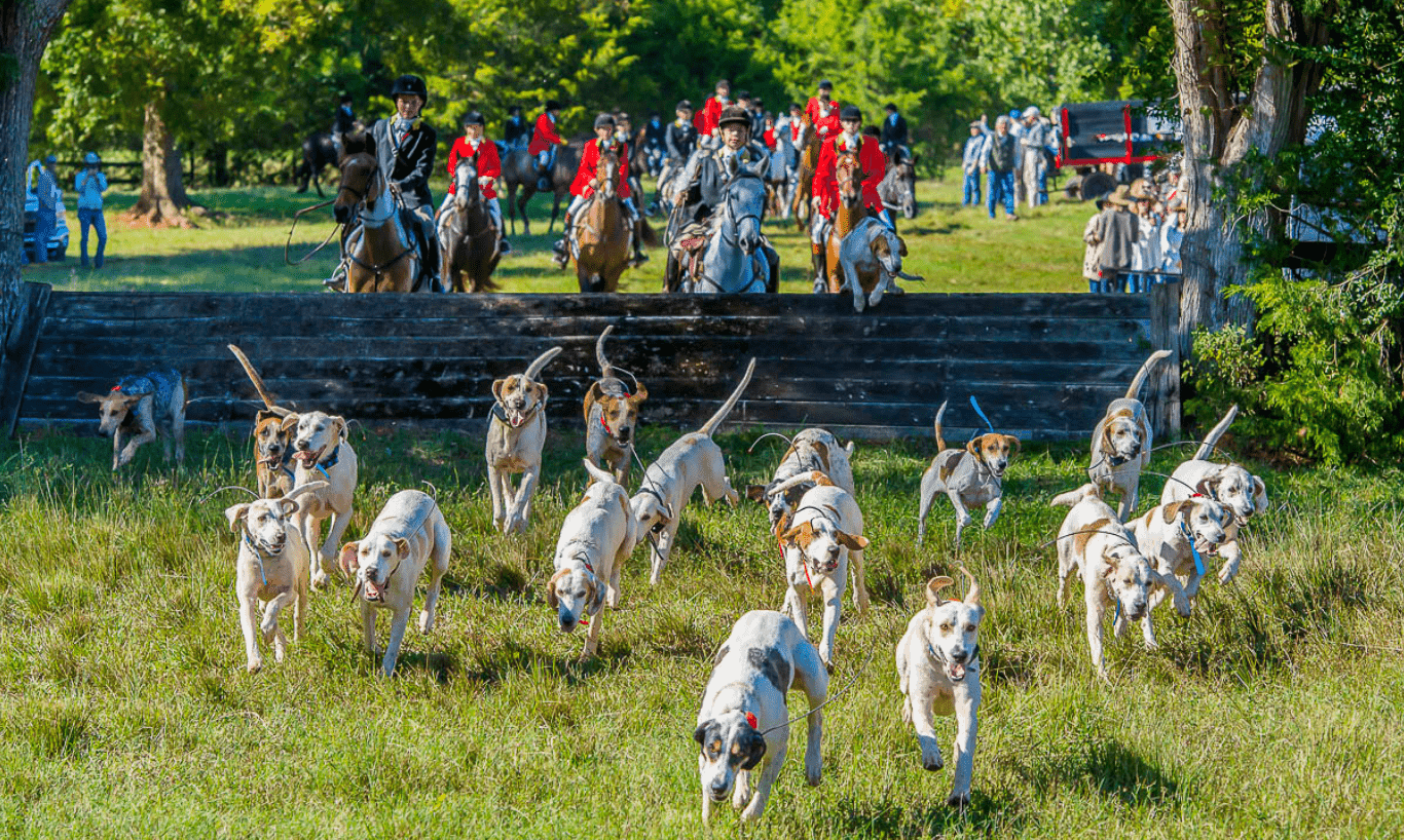 Performance Trials Belle Meade Hunt Thomson